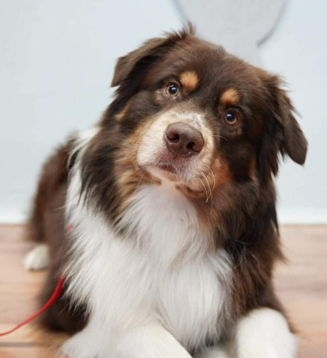 Rossi vastab küsimustele